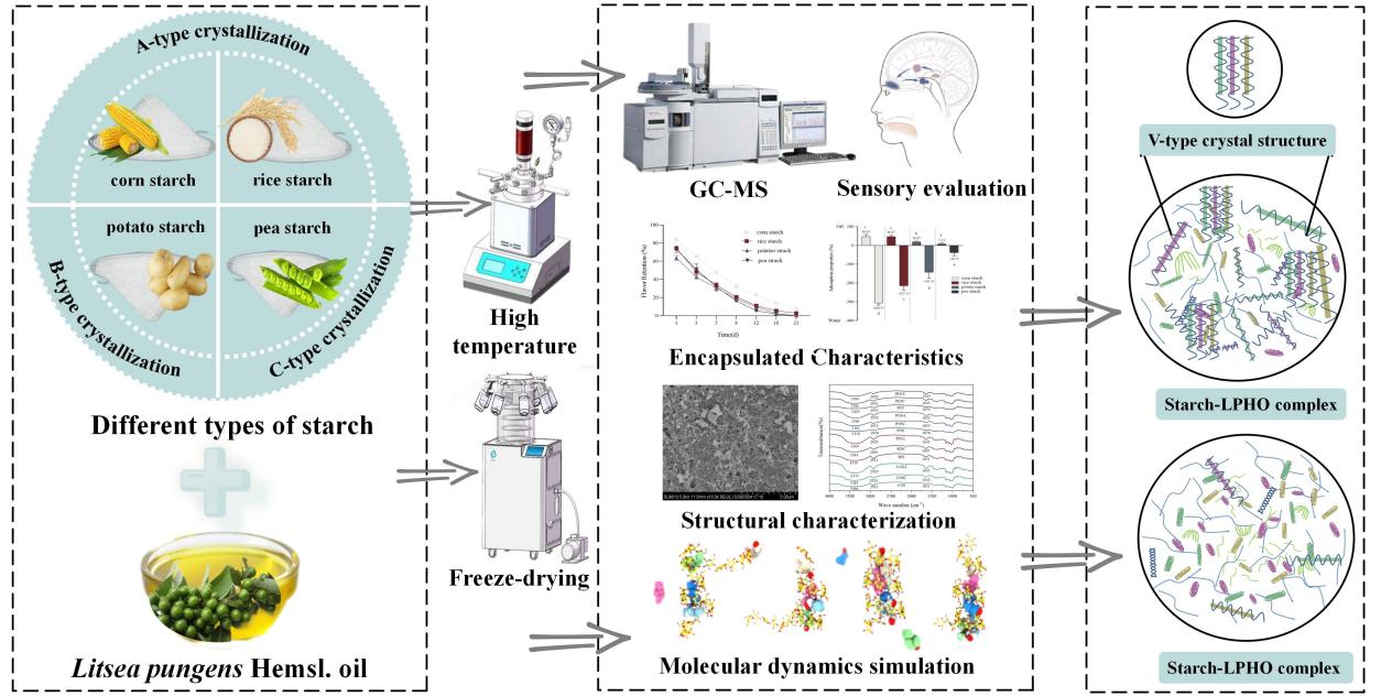 Graphical Abstract