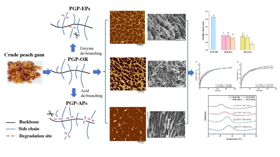 Graphical abstract-R2
