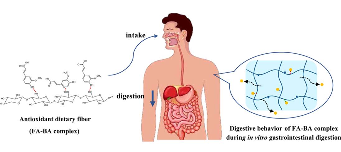 图示 描述已自动生成