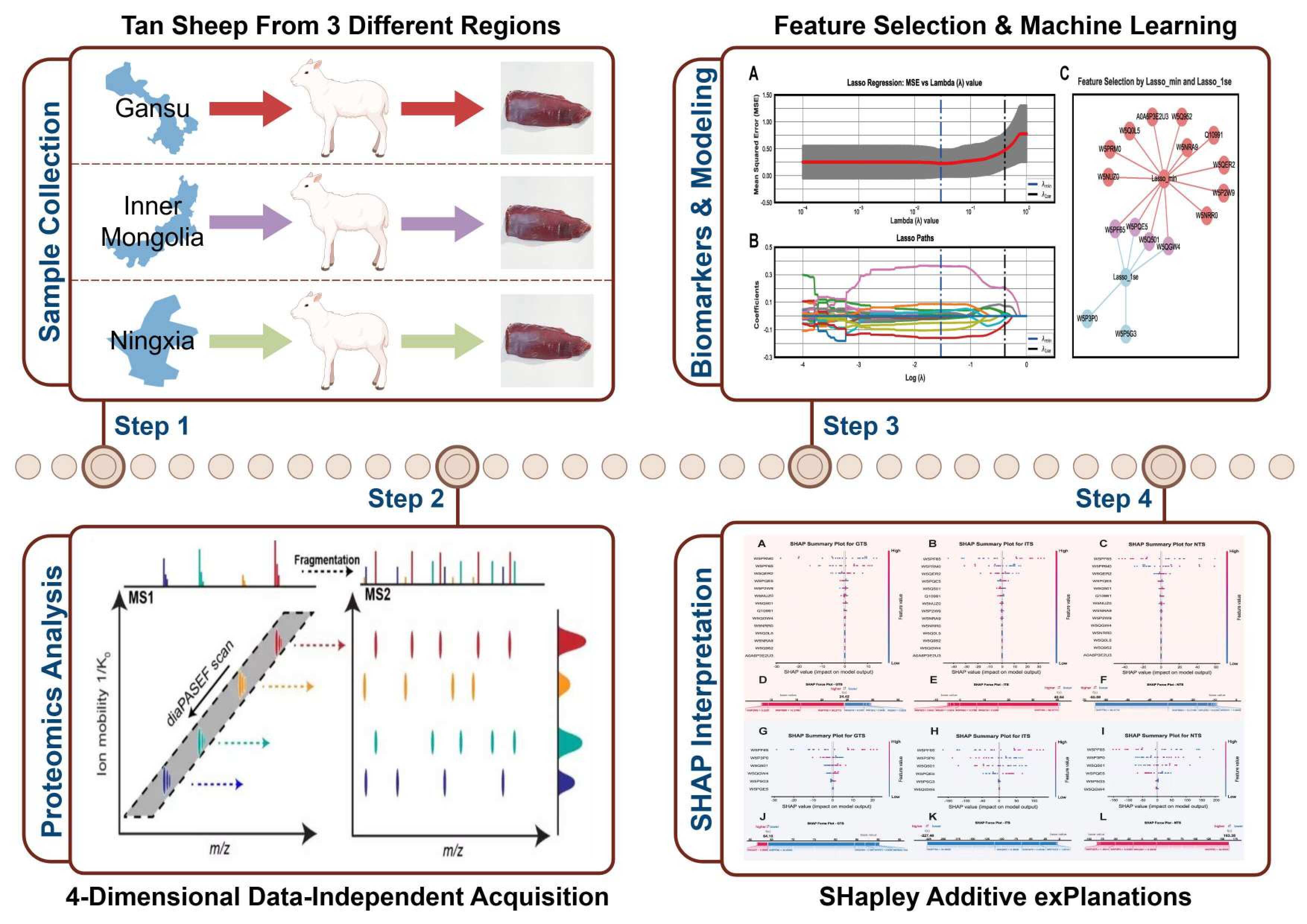 给羊肉加“身份证”，科研人员研发出精准产地溯源技术