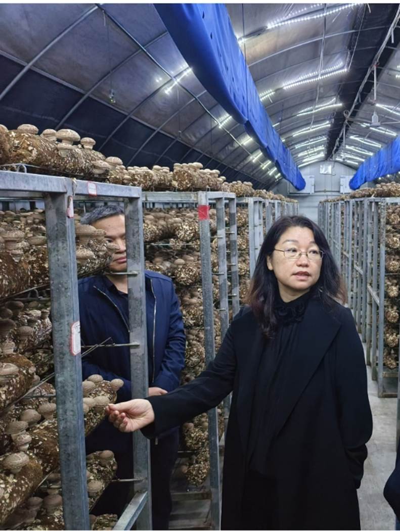 图片包含 人, 建筑, 女人, 男人 AI 生成的内容可能不正确。